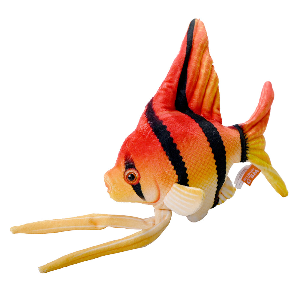 Wild Republic Coral Reef Angelfish 6 Inches